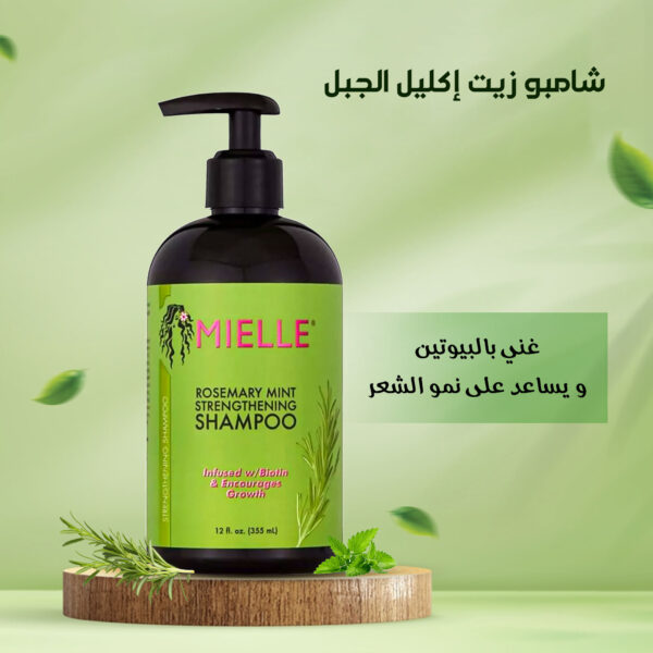 ⁦عرض خاص : جهاز تدليك راس محمول باليد + شامبو تقوية النعناع روزماري ، خالٍ - الكبريتات والبارابين⁩ - الصورة ⁦4⁩
