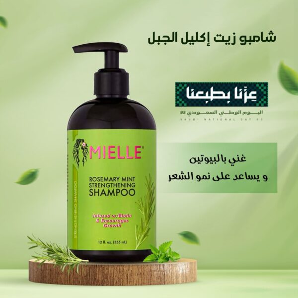 ⁦عرض خاص : جهاز تدليك راس محمول باليد + شامبو تقوية النعناع روزماري ، خالٍ - الكبريتات والبارابين⁩ - الصورة ⁦5⁩